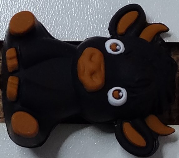 Animaux