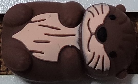 Animaux
