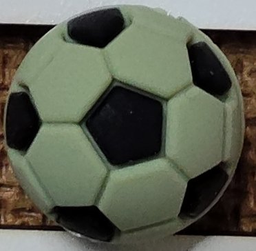 Foot